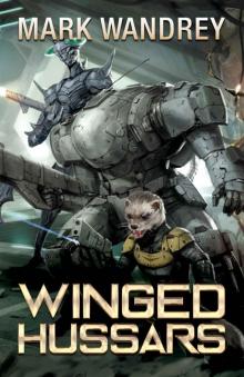 Winged Hussars (The Revelations Cycle Book 3)