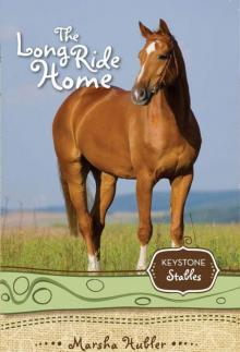 The Long Ride Home The Long Ride Home