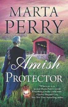 Amish Protector Amish Protector