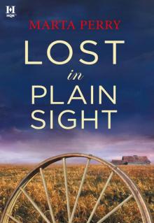 Amish Suspense 03 - Lost in Plain Sight Amish Suspense 03 - Lost in Plain Sight