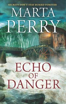 Echo of Danger Echo of Danger