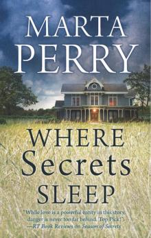 Where Secrets Sleep Where Secrets Sleep