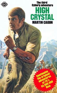 Cyborg 03 - High Crystal Cyborg 03 - High Crystal