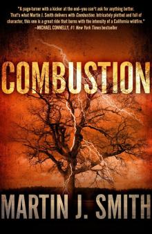 Combustion Combustion