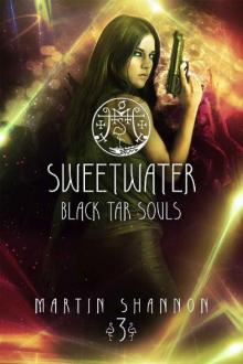 Sweetwater: A Crashing Florida Urban Fantasy Thriller (Black Tar Souls Book 3) Sweetwater: A Crashing Florida Urban Fantasy Thriller (Black Tar Souls Book 3)