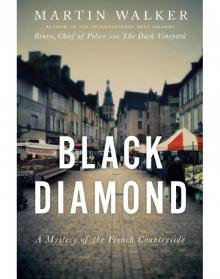 Black Diamond Black Diamond