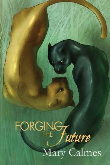 Change of Heart 05 - Forging the Future Change of Heart 05 - Forging the Future