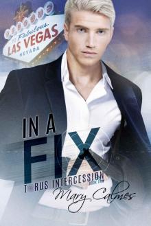 In A Fix: Torus Intercession Book Two