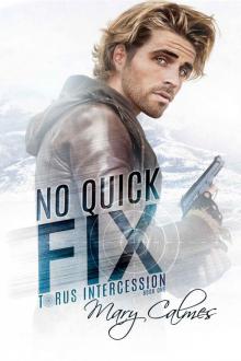 No Quick Fix: Torus Intercession Book One