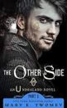 The Other Side: A Fantasy Adventure (Undraland Book 5)