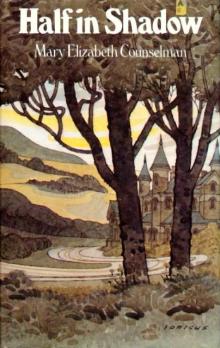 Half in Shadow Half in Shadow