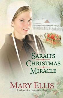 Sarah's Christmas Miracle Sarah's Christmas Miracle