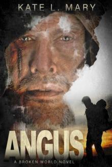 Broken World | Novel | Angus