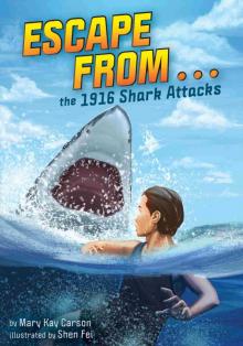 The 1916 Shark Attacks The 1916 Shark Attacks