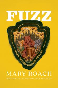 Fuzz Fuzz