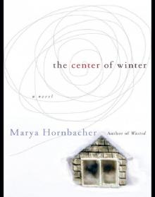 The Center of Winter: A Novel The Center of Winter: A Novel