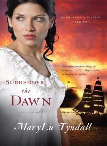 Surrender the Dawn Surrender the Dawn