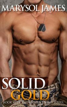 Solid Gold (Unseen Enemy Book 8)