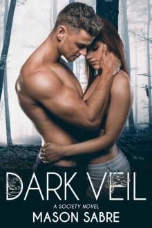 Dark Veil (The Society Series Book 3) Dark Veil (The Society Series Book 3)