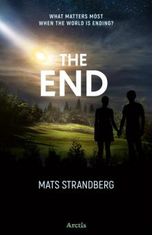 The End The End