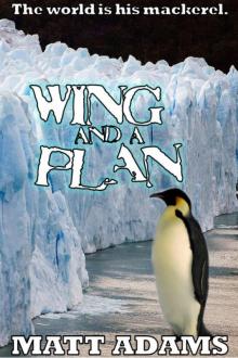 Wing and a Plan Wing and a Plan