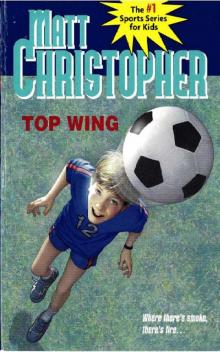 Top Wing