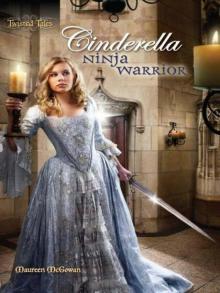 Cinderella: Ninja Warrior
