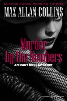 Murder by numbers en-4