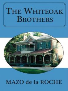 06 The Whiteoak Brothers