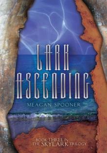 Lark Ascending