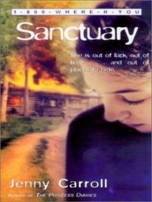 Sanctuary 1-4 Sanctuary 1-4