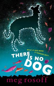 There Is No Dog