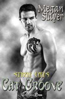 Cat Groove (Stray Cats) Cat Groove (Stray Cats)