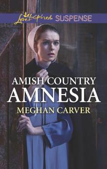 Amish Country Amnesia Amish Country Amnesia