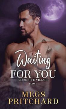 Waiting for You Waiting for You