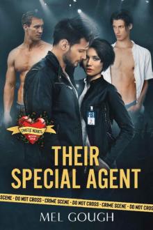 Their Special Agent Their Special Agent