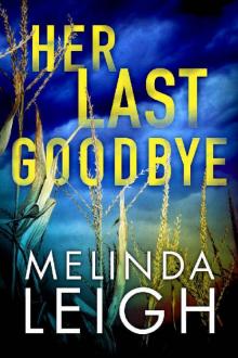 Her Last Goodbye (Morgan Dane Book 2) Her Last Goodbye (Morgan Dane Book 2)