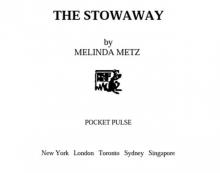 The Stowaway The Stowaway