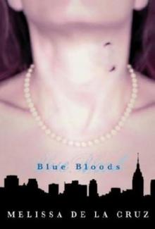 Blue Bloods bb-1