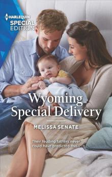Wyoming Special Delivery Wyoming Special Delivery