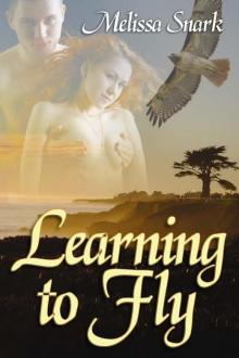 Learning To Fly
