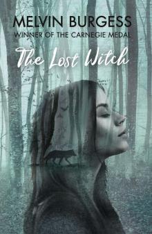 The Lost Witch The Lost Witch