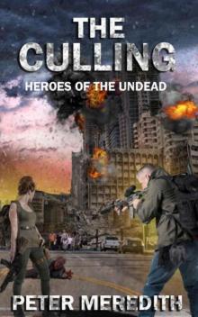 Heroes of the Undead | Book 1 | The Culling Heroes of the Undead | Book 1 | The Culling