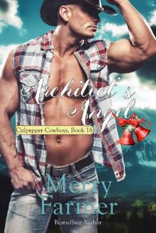 Architect's Angel (Culpepper Cowboys Book 16)