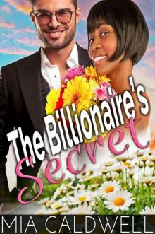 The Billionaire's Secret: A BWWM Romance Mystery
