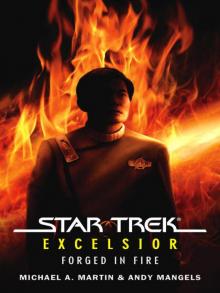 Star Trek®: Excelsior: Forged in Fire
