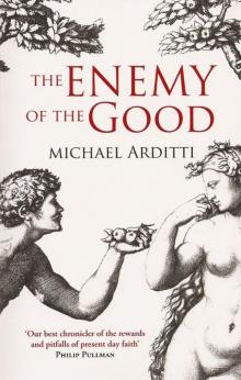 The Enemy of the Good