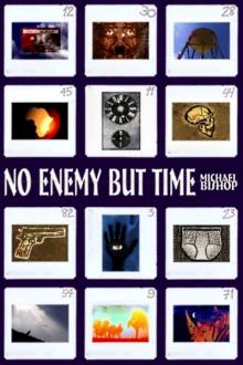 No Enemy But Time No Enemy But Time