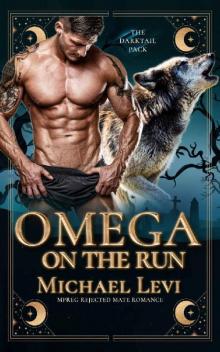 Omega on the Run: MPREG Rejected Mate Romance