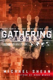 Gathering Ashes (The Wonderland Cycle Book 3) Gathering Ashes (The Wonderland Cycle Book 3)